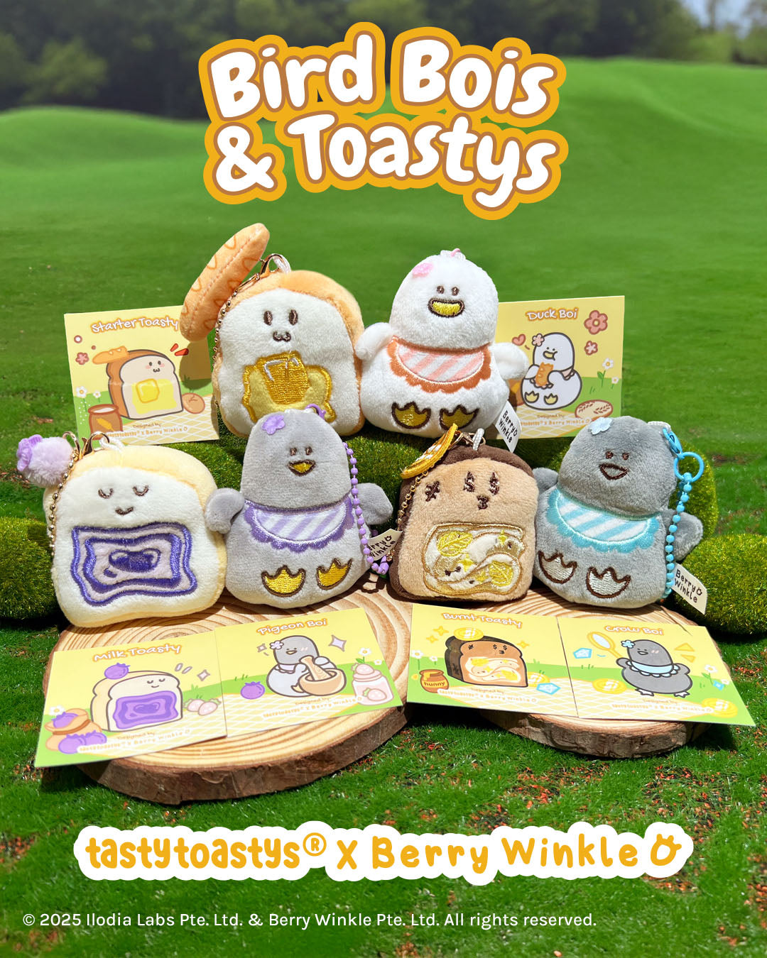 Bird Bois & Toastys Collab: Mini Blind Box and Bags!