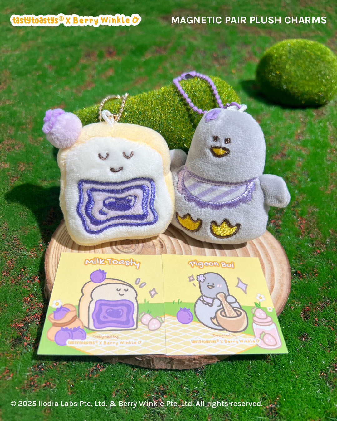 Bird Bois & Toastys Collab: Mini Blind Box and Bags!